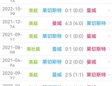 曼城-险胜莱斯特城若塔赢得制胜进球